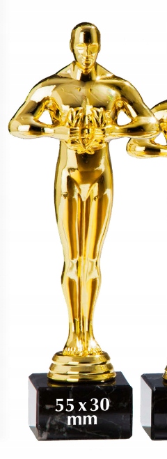 WIKTOR STATUETKA OSKa_r WD220N wys. 22 cm - obrazek 4
