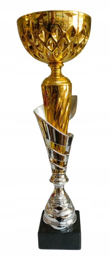PUCHAR WD1390 puchar srebrny 33 cm