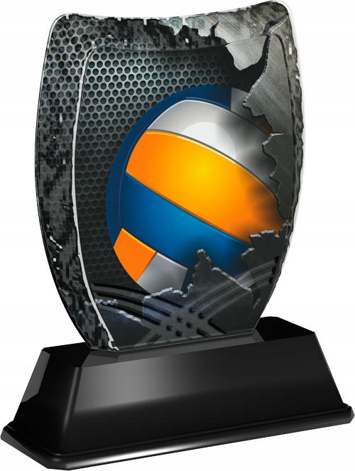 STATUETKA ACE01M17C- SIATKÓWKA