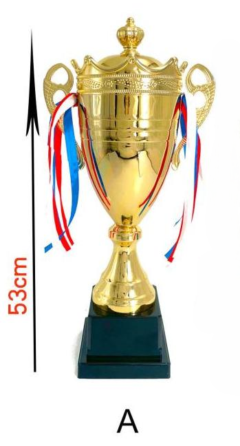 PUCHAR WDG13-6A/KING luksusowy 53 cm